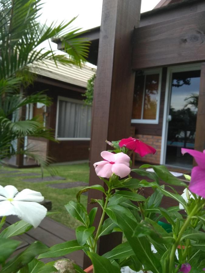 Villa Suhr Cabanas Praia do Rosa Ngoại thất bức ảnh